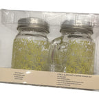 Mini Mason Jar Salt & Pepper Shaker Set