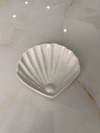 Shelly Shell Jewelry Dish Set of 4
